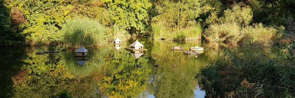 FriendsRDW Profile Banner