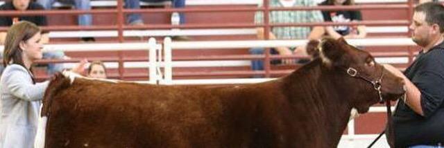 BolinLandon's profile banner image