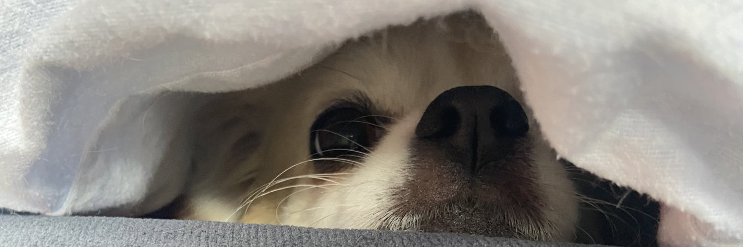 LebossKev's profile banner image