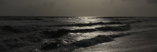Shrrutea Profile Banner