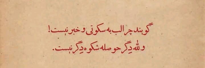 Mohsen's banner