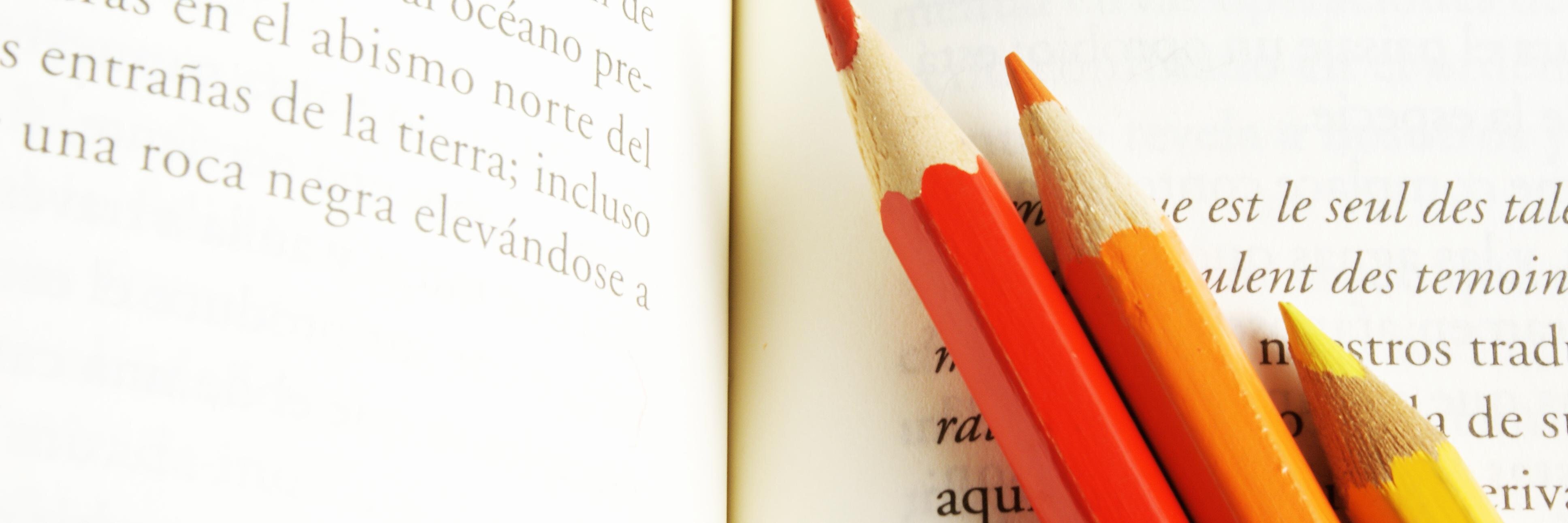María Navarro Asín banner