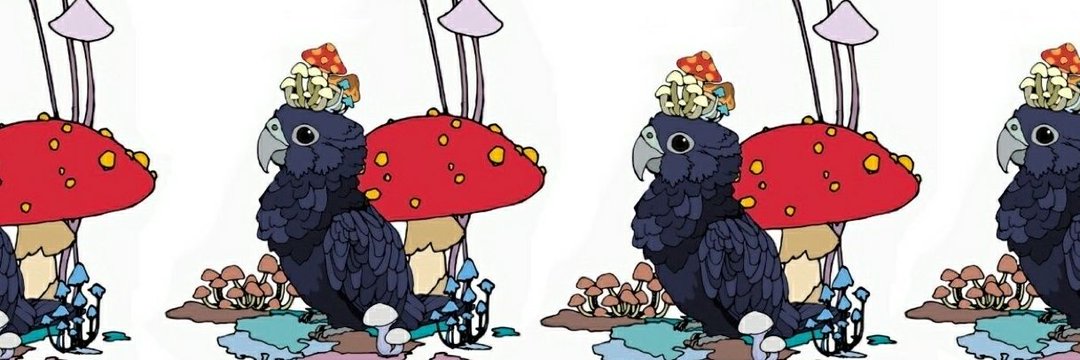 𖥧𖧧𖥣𖥧𖤣𓅂𓅫✽vanilla✽𓅩𖤣𖥧𖥣𖧧𖥧 banner