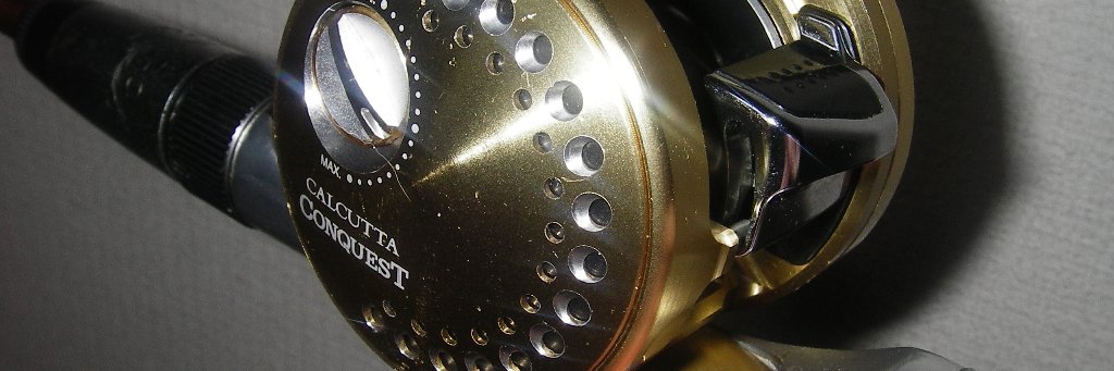 delsolbeat's profile banner image