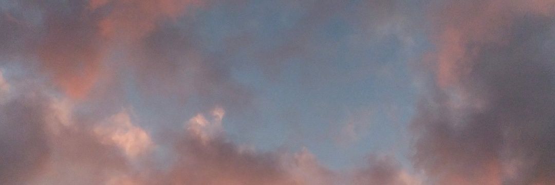 __makapaka's profile banner image