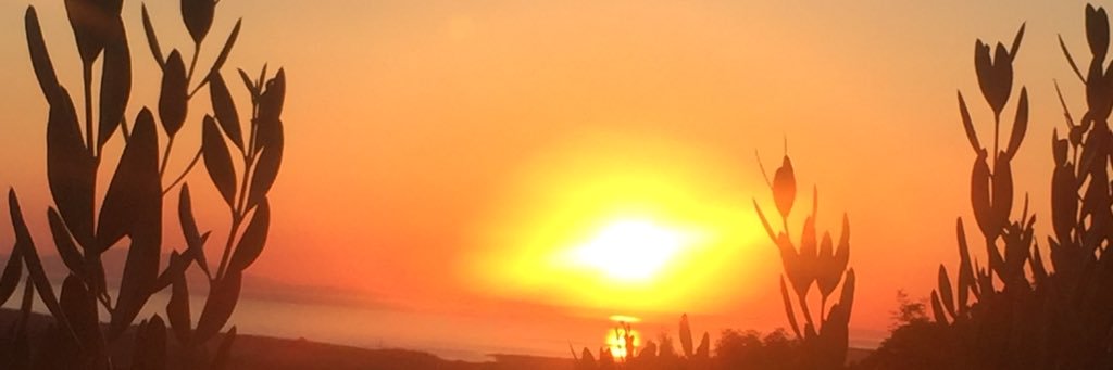 borupmia's profile banner image