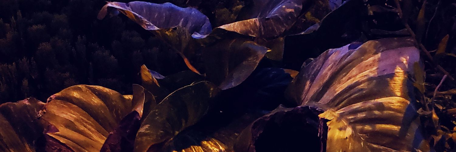 thingscp (she/her) banner