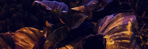 thingscp Profile Banner