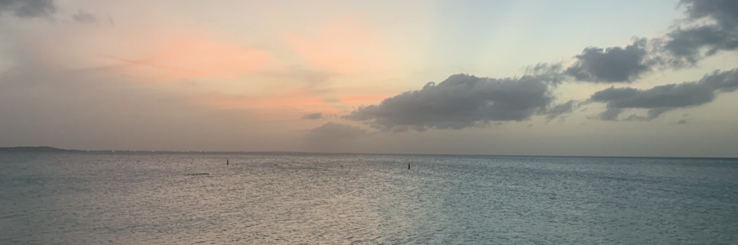 LilyGolden17's profile banner image