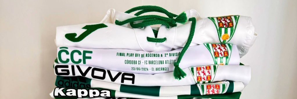 Rubén Castro banner