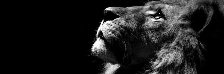 𝕂 𝕌 𝔾 𝔸 banner