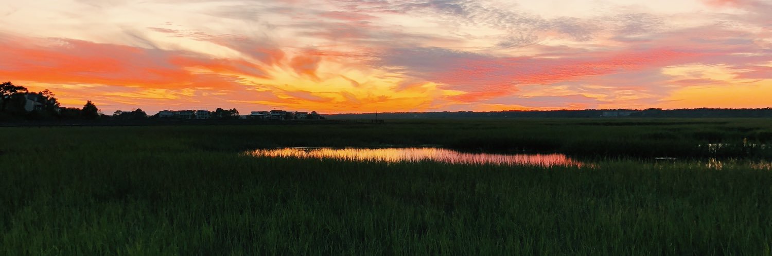 calllieefornia's profile banner image