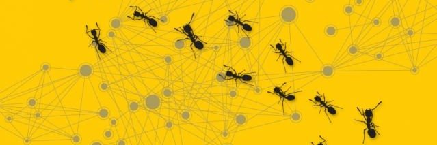 Hymenoptera Research banner