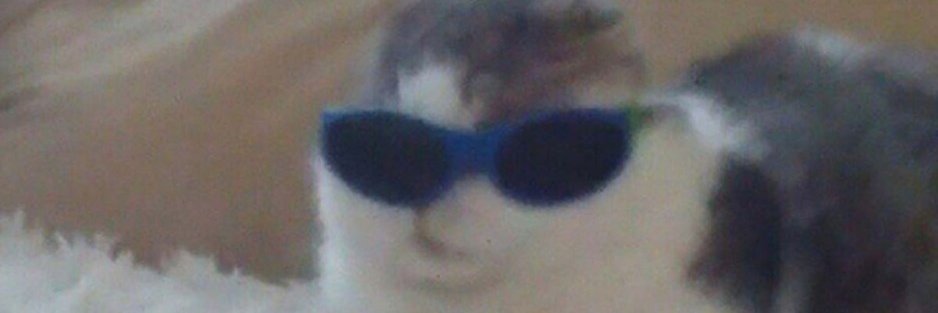 egguimolina's profile banner image