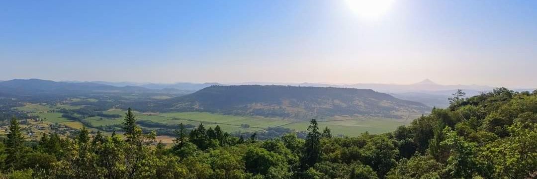 Erin Galbraith 🍍 banner