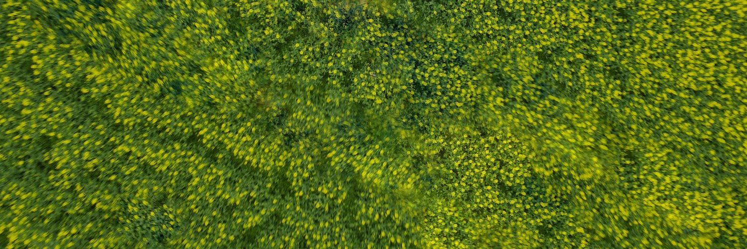 effortlesslyfun's profile banner image