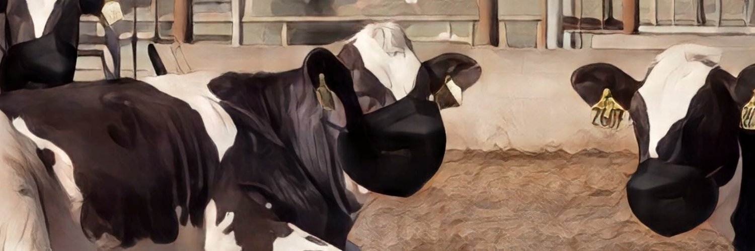MaskBlocUCDavis@kolektiva.social 😷🐮 banner