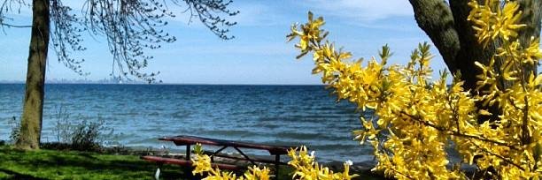 Maria G Yates banner