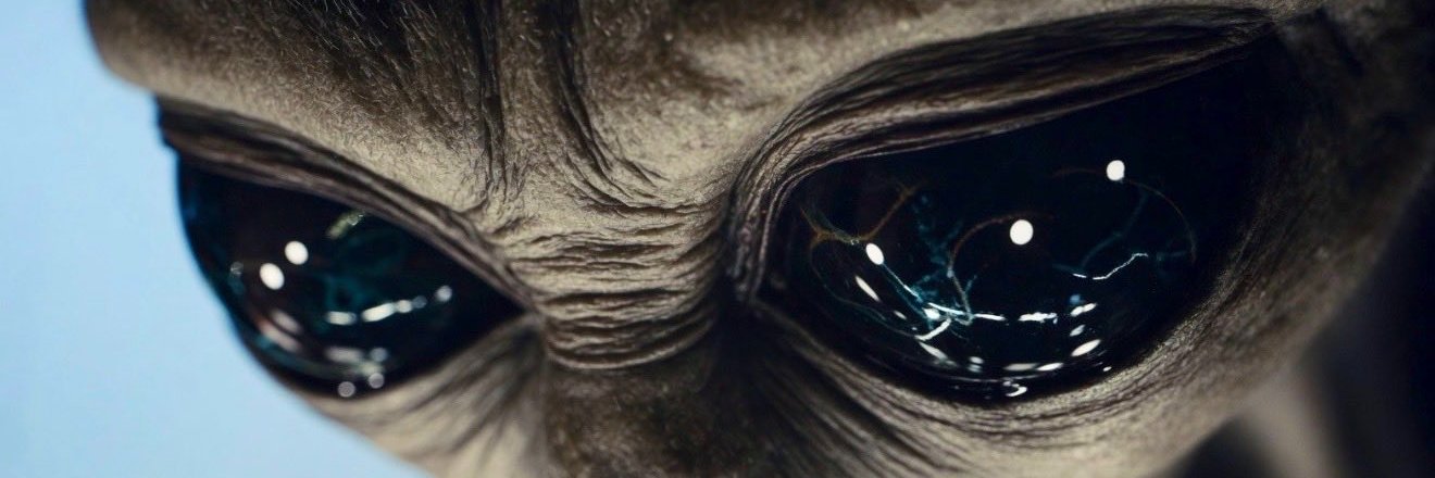 augctor's profile banner image