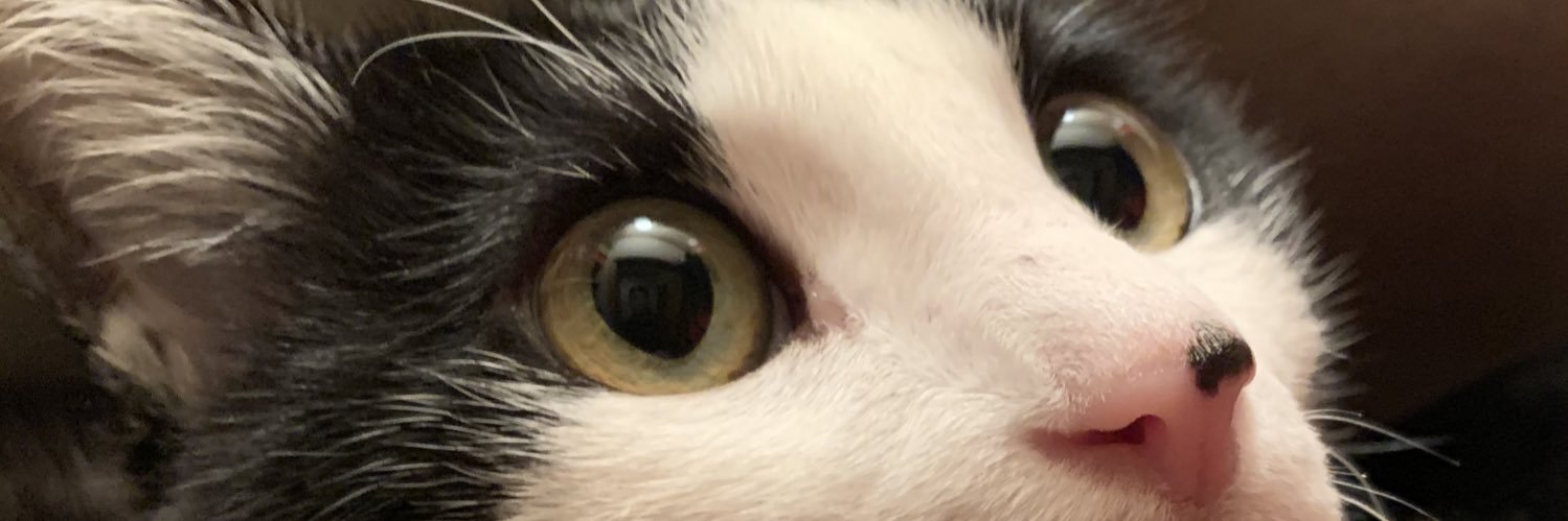 Yoshi　next 4/26ぎふ清流H→安曇野H6/7 banner