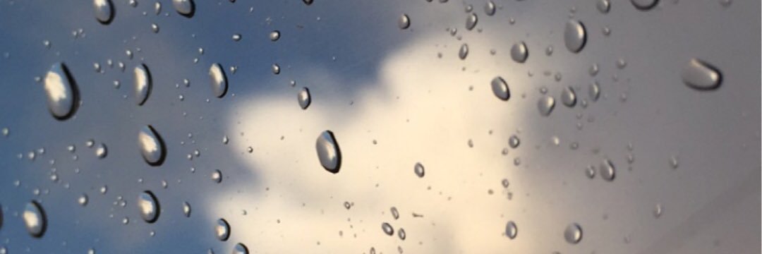 Moli banner