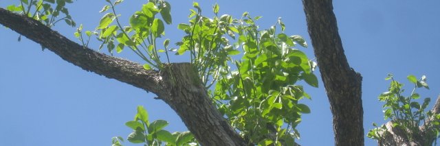 02rainyday's profile banner image