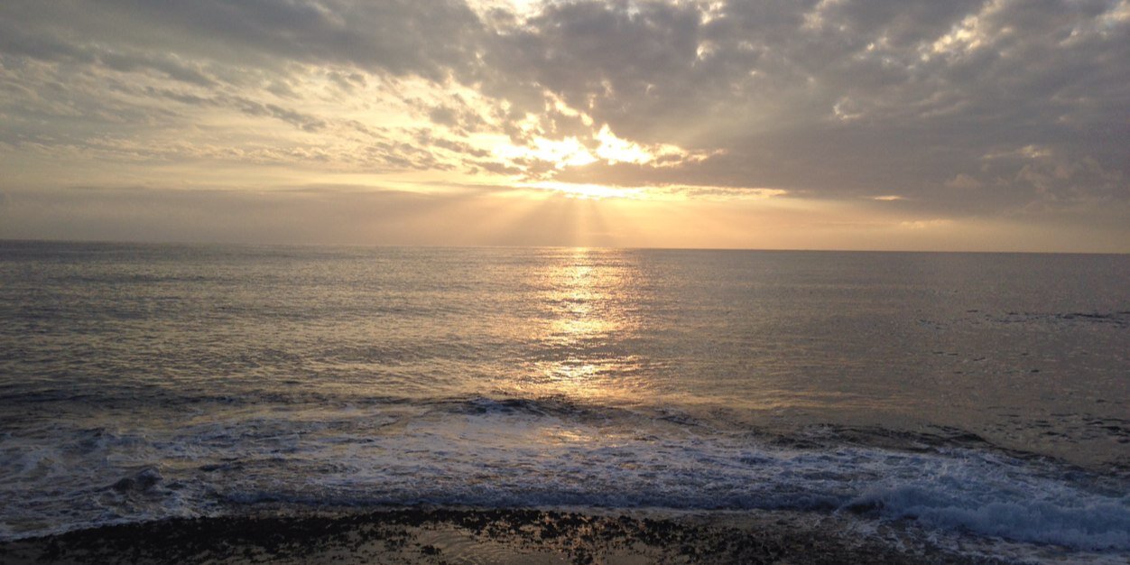 davidcentanni's profile banner image