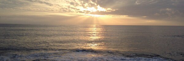 davidcentanni Profile Banner