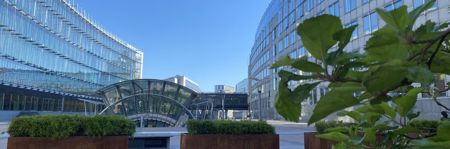 Margarita de la Pisa banner