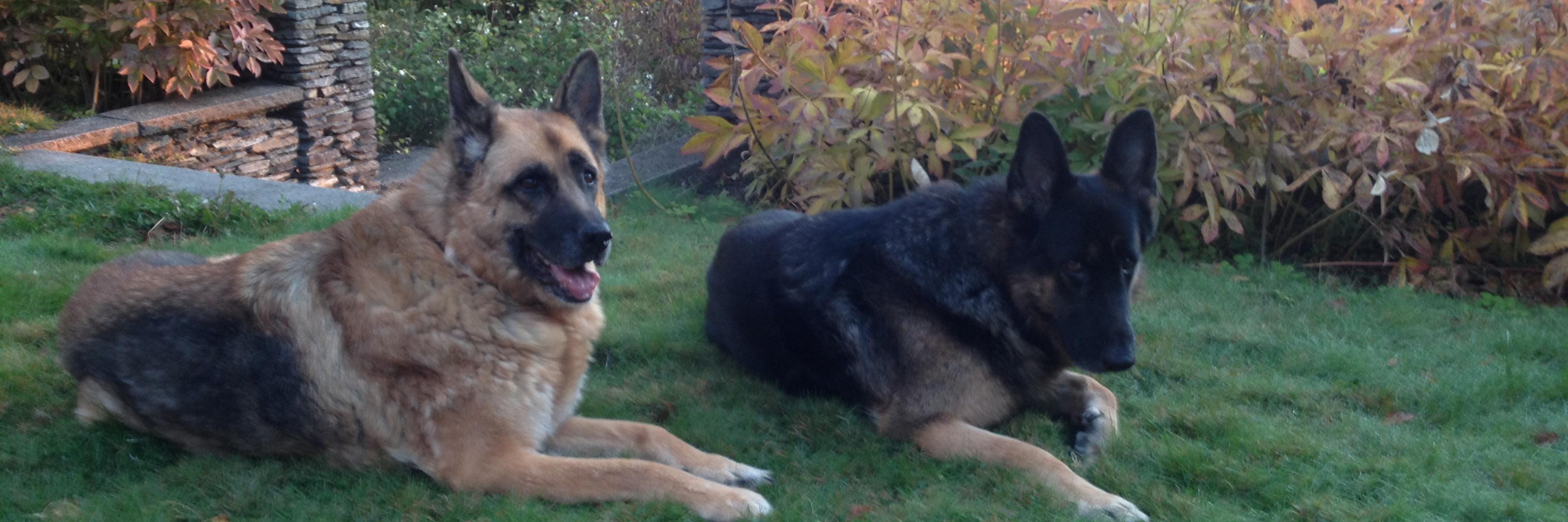 Marielle Edgecomb banner