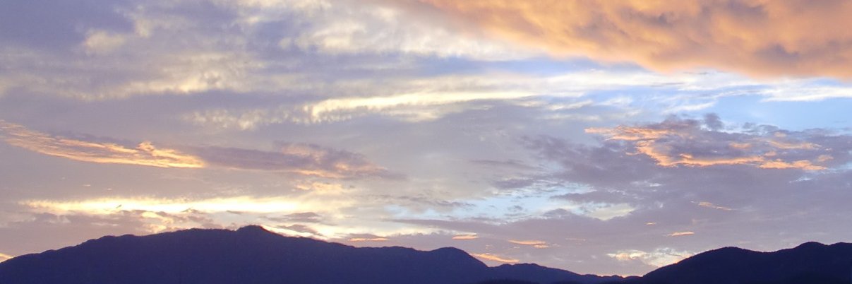 next20220424's profile banner image