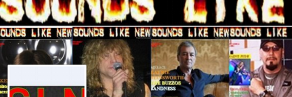 SLNFANZINE Profile Banner