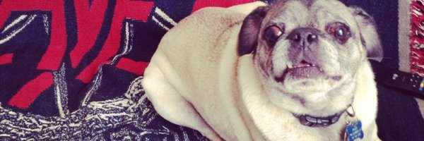 chrisatecheese Profile Banner