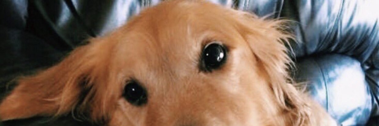 emurrrly's profile banner image