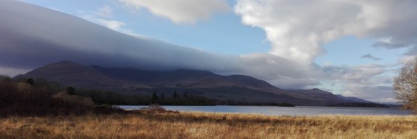 CarlaPMateus Profile Banner