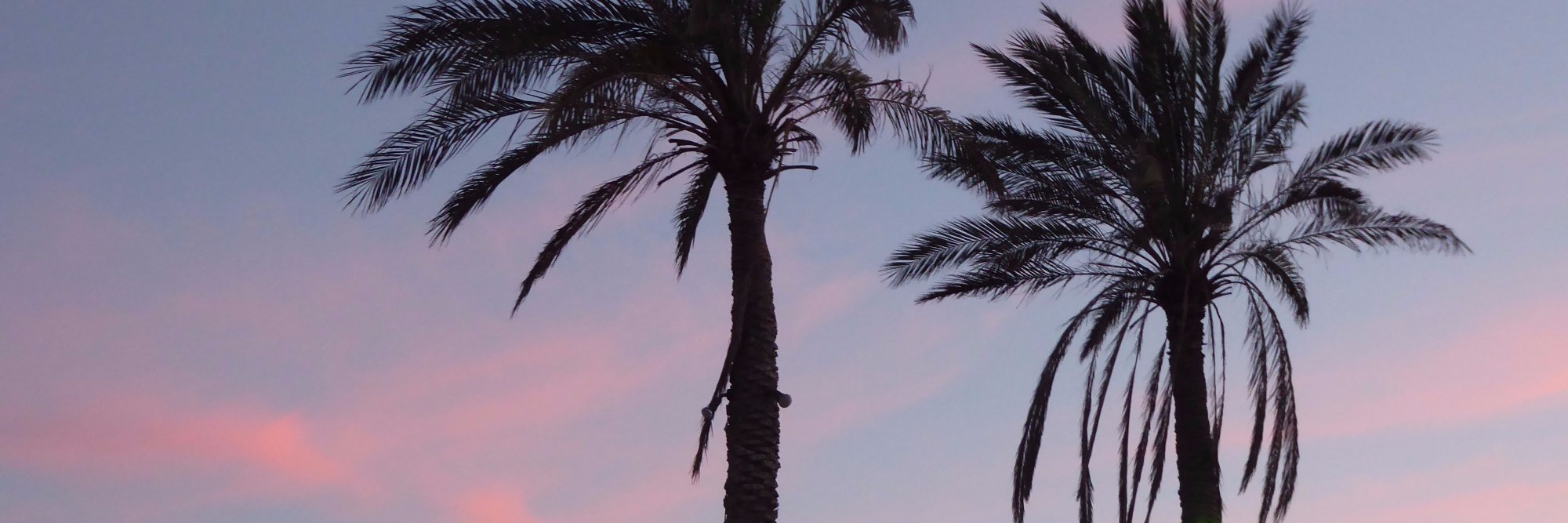 Imarocker24's profile banner image