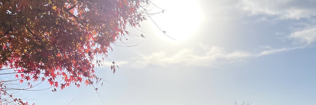 eikong85's profile banner image