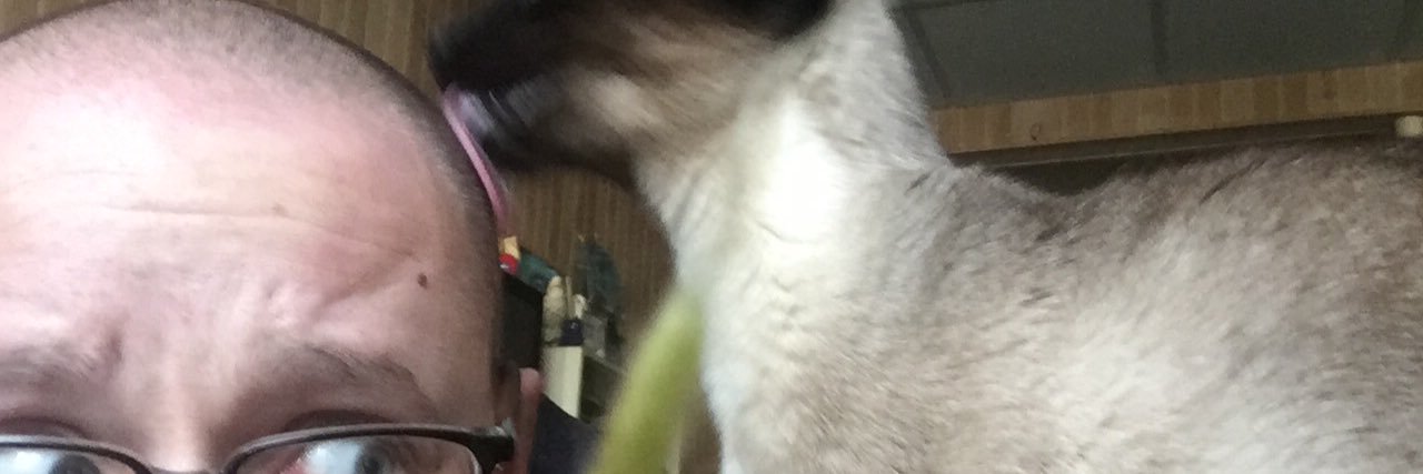 benisadork's profile banner image