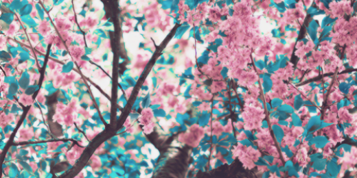 Fyrely's profile banner image