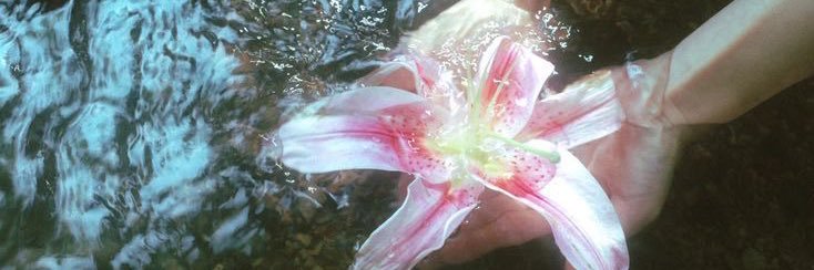 lorelai gilmore🌷🌙 banner