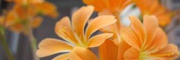 113282's profile banner image