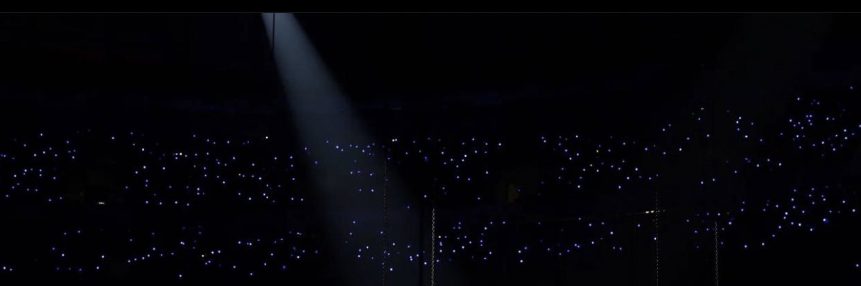 icebearies's profile banner image