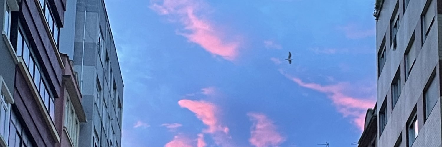 paugarey_'s profile banner image