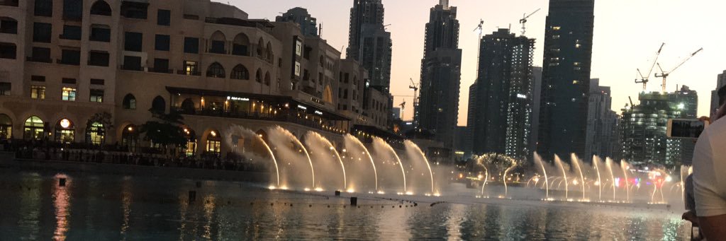 Ferpetua's profile banner image