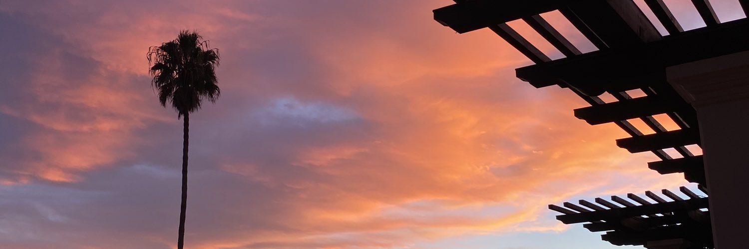 bianca finch banner