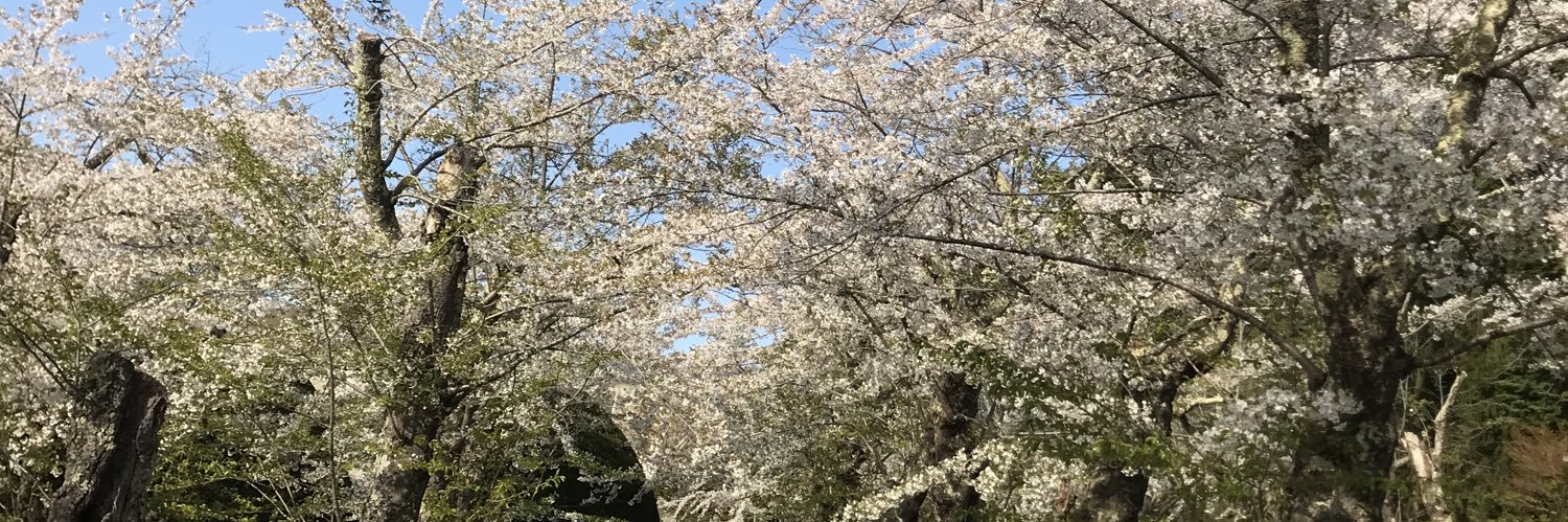 amoamoko's profile banner image