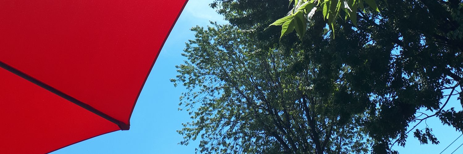 snatalieann's profile banner image