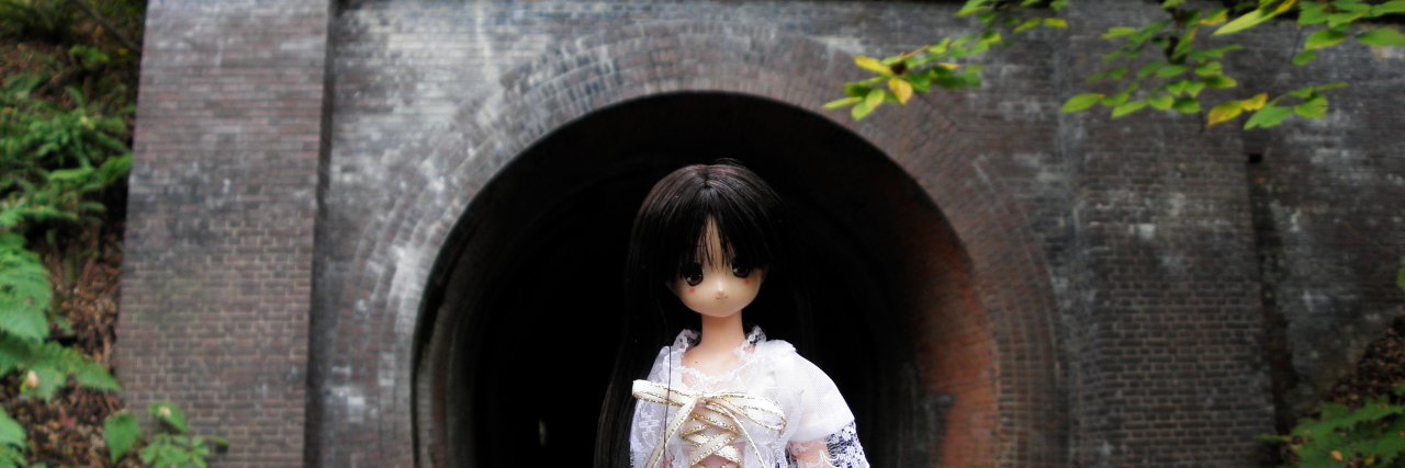 ちぃちゃん（♂） banner