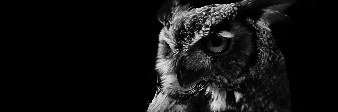 dNb0608's profile banner image