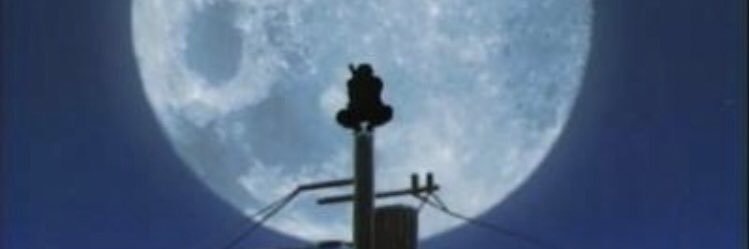 igrev banner